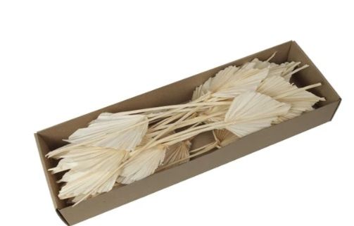 Frunze palmier S/25 crem