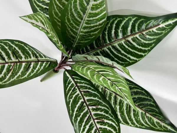 Verdeata artificiala Aphelandra verde-rosu (33cm)