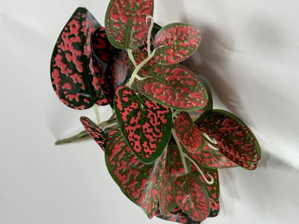 Verdeata artificiala Hypoestes (36cm)