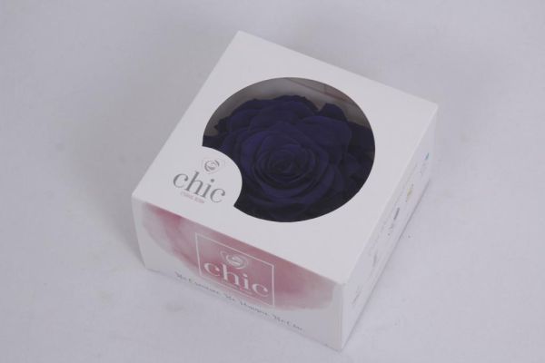 Trandafir criogenat Ø12cm indie purple