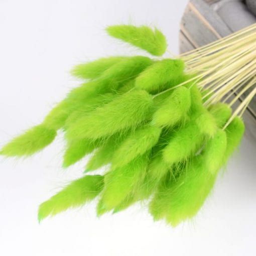 Lagurus S/60 verde deschis