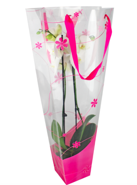 Punga orhidee 12x11x70cm roz