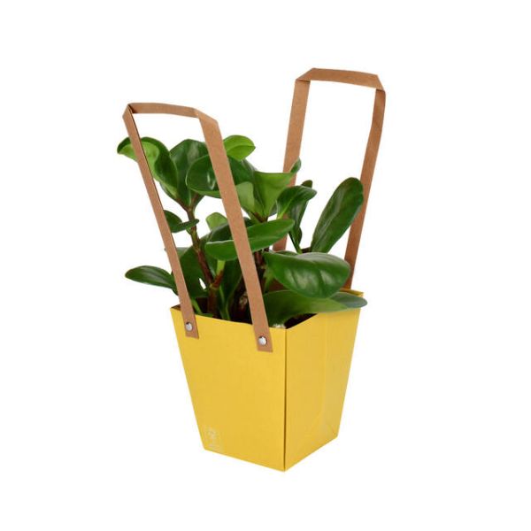 Plasa carton cu maner 13x9,5xH15cm galben 