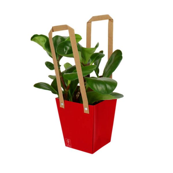 Plasa carton cu maner 13x9,5xH15cm rosu
