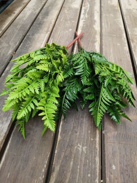 Frunze artificiale Leatherfern verde inchis