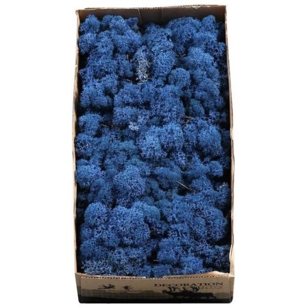 Licheni conservati Royal blue 500G