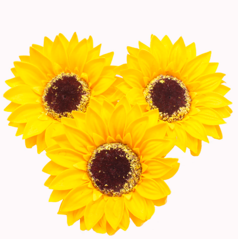 Floare soare sapun S/50 galben