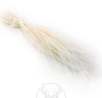 Feather grass alb