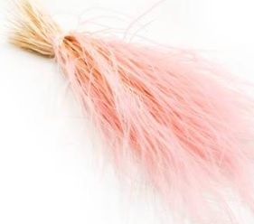 Feather grass roz