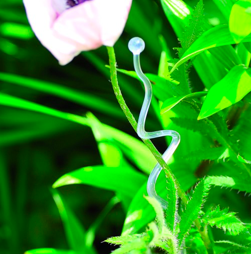 Suport orhidee 55cm model transparent